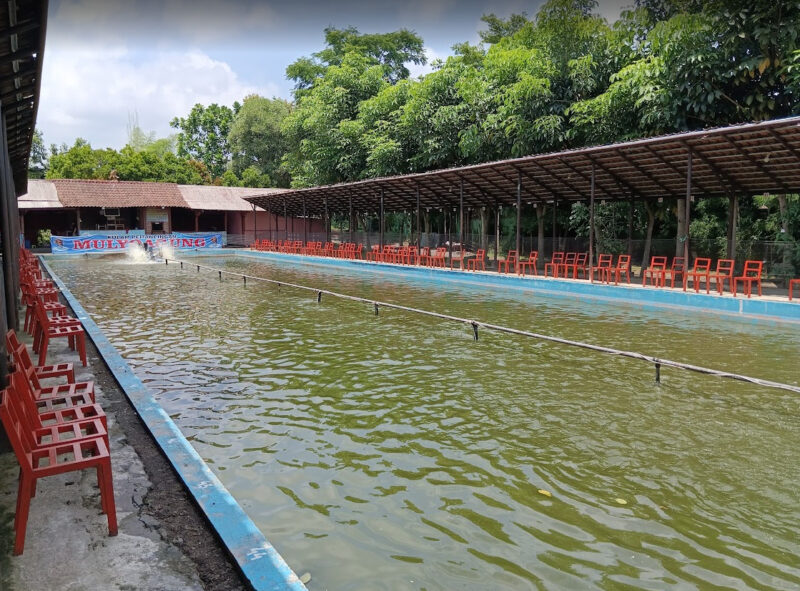 kolam pancing mulyoagung